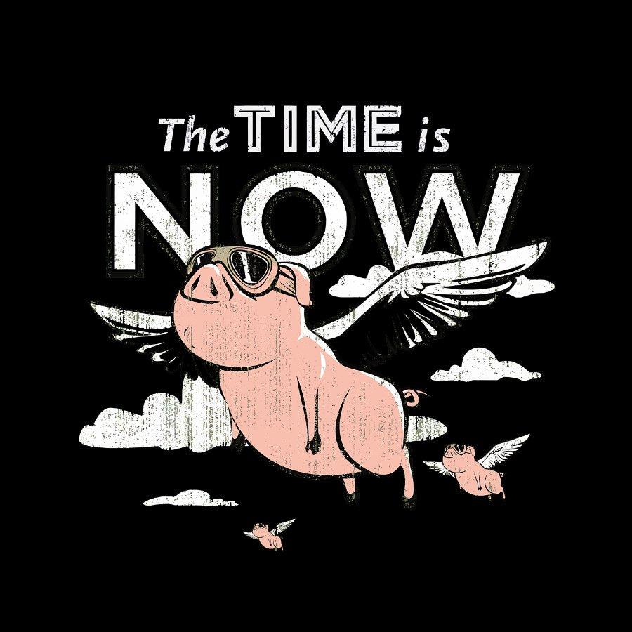 The Time Is Now Geeky T-Shirt