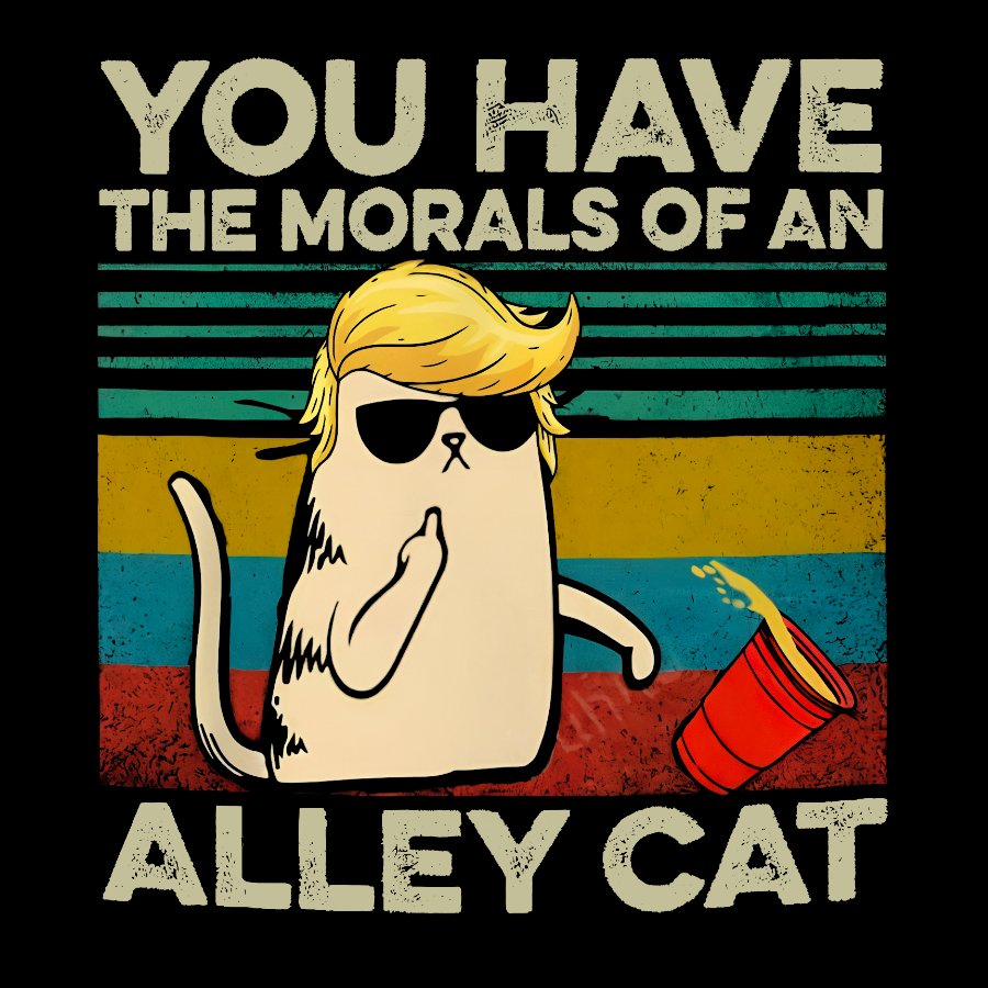 You Have The Morals of an Alley Cat Funny Sarcastic Cat Geeky T-Shirt