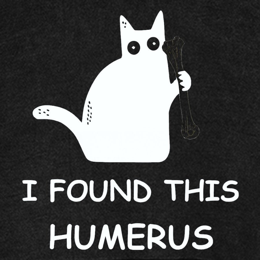 I Found This Humerus Nerdy Vintage Distressed Hoodie
