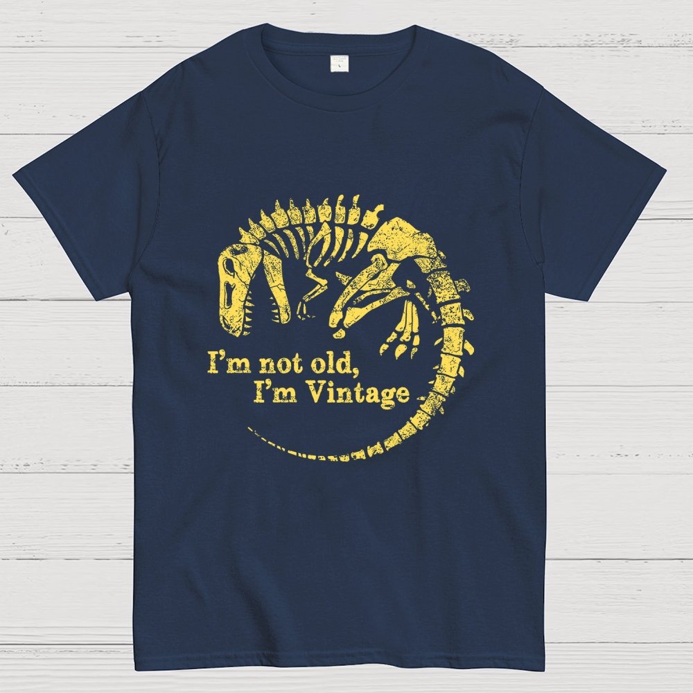 I'm Not Old I'm Vintage Geek T-Shirt