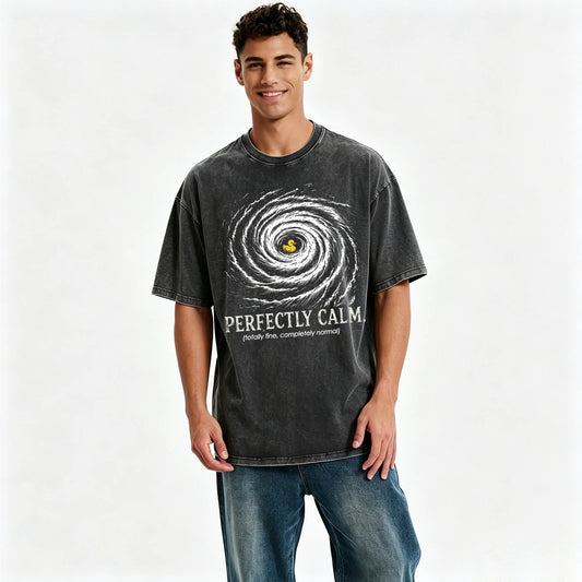 Perfectly Calm Totally Fine Completely Normal Funny Dark Humor T-Shirt