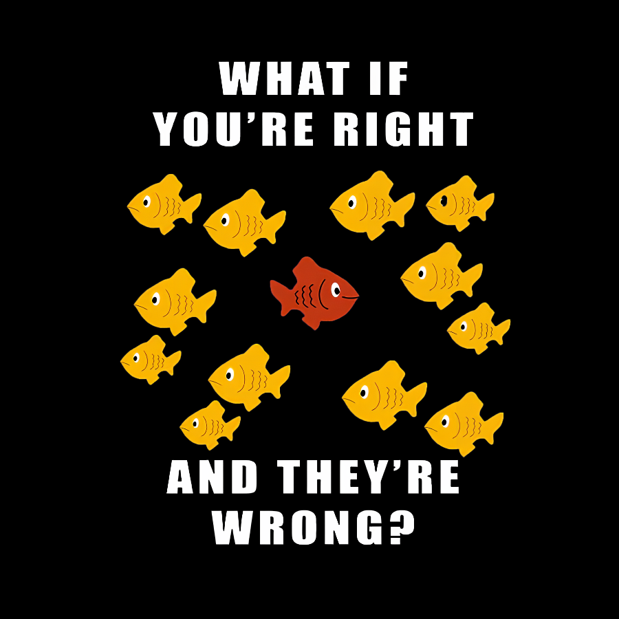 What If You're Right And They're Wrong Geeky T-Shirt