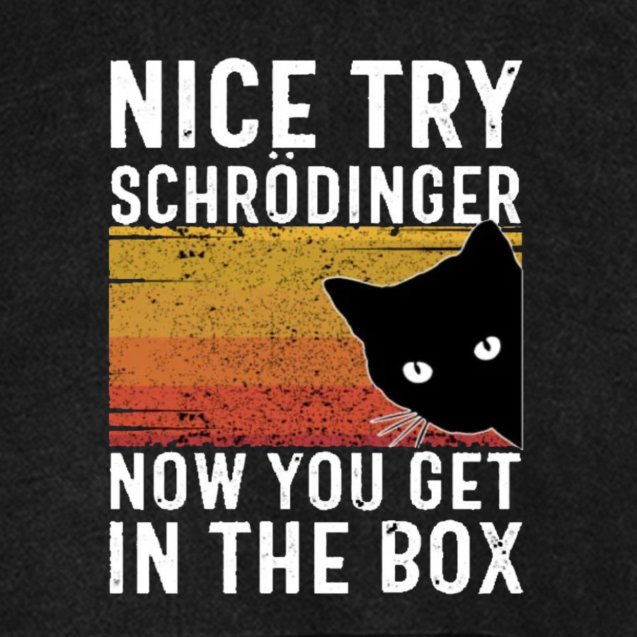 You Get Schrodinger's cat In The Box Vintage Distressed Hoodie