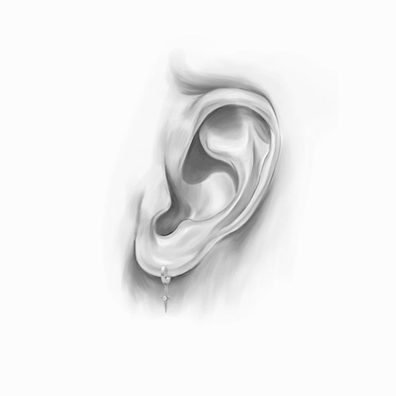 Starlight for the Bold: Stainless Steel Zircon Earrings