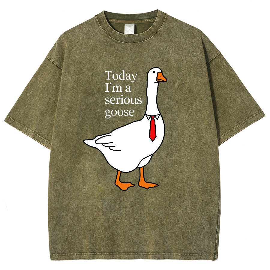 Today I'm A Serious Goose Vintage Distressed T-shirt