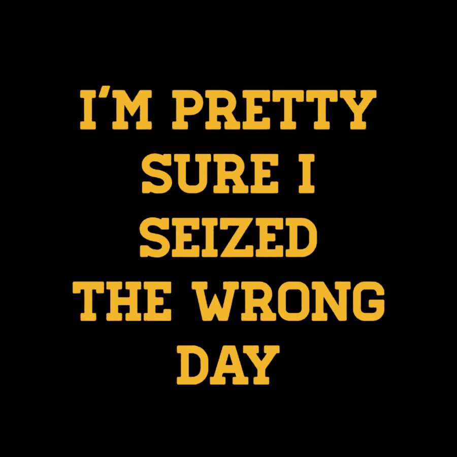I'm Pretty Sure I Seized The Wrong Day Geeky T-Shirt