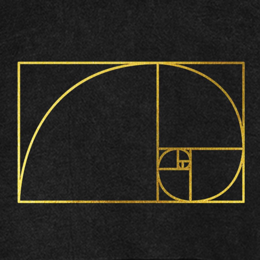 Distressed Fibonacci Spiral Geek Graphic Vintage Distressed Hoodie