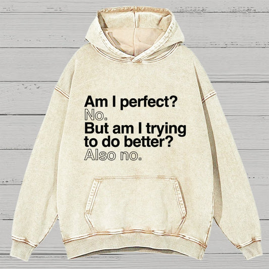 Am I Perfect No Vintage Distressed Hoodie