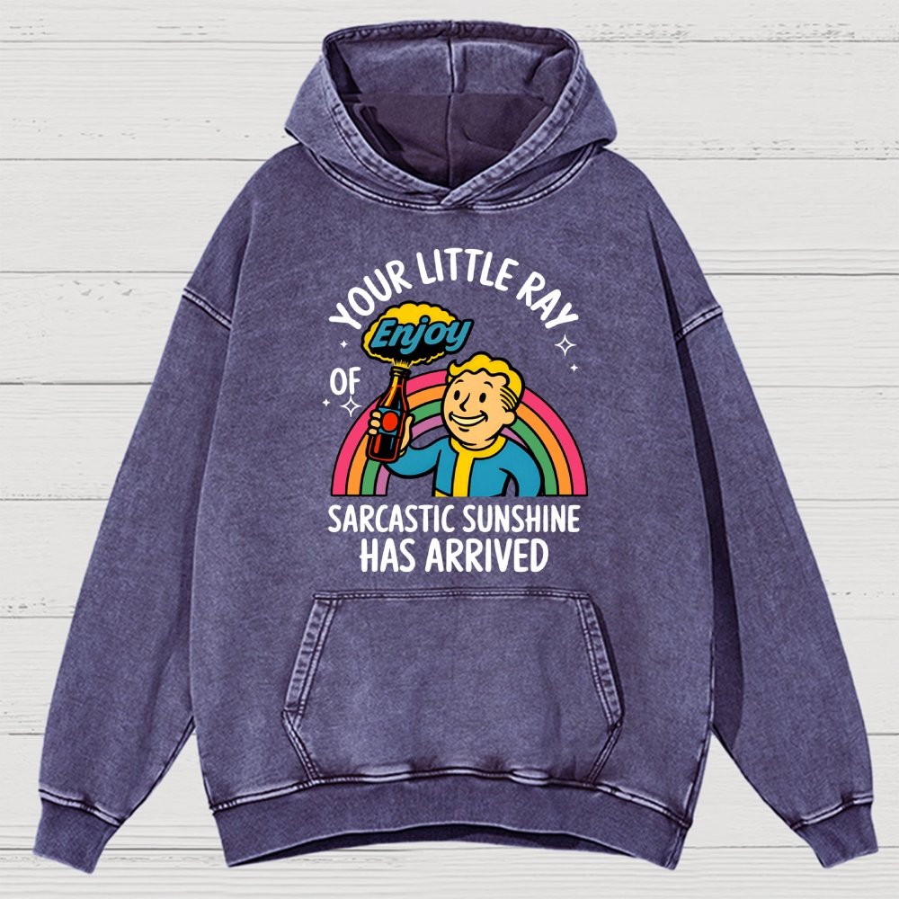 Your Little Ray Of Sarcastic Sunshine Has Arrived Vintage Distressed Hoodie