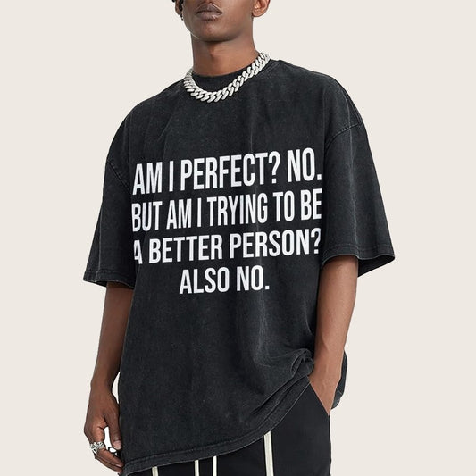 Am I Perfect No But Am I Trying To Be A Better Person Also No Vintage Distressed T-shirt