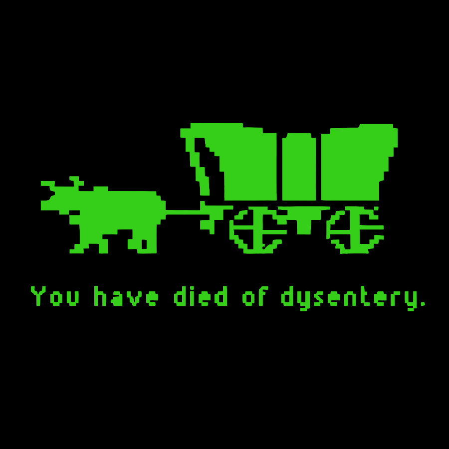 Oregon Trail T Shirt You Have Died of Dysentery Washed Long Sleeve Tee