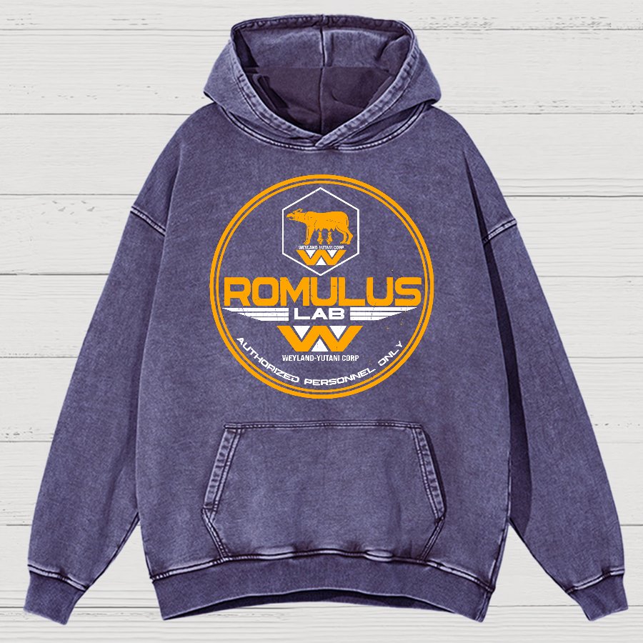 Aurora Lab Vintage Distressed Hoodie