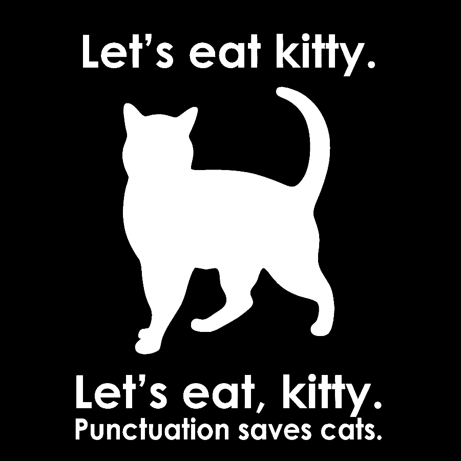Punctuation Saves Lives. Funny Geek T-Shirt