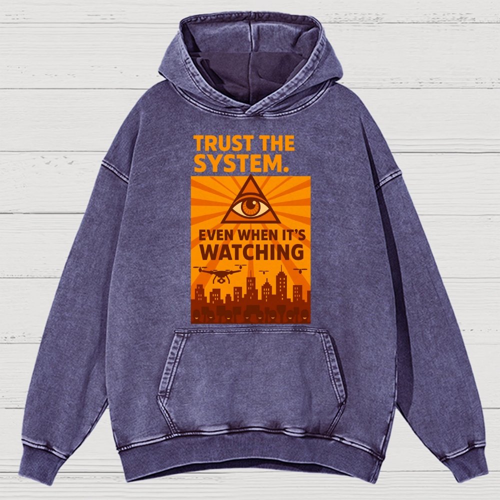 Trust The System - Dystopian Surveillance Vintage Distressed Hoodie
