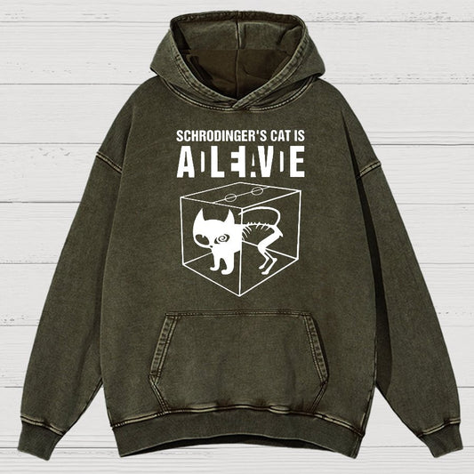 Schrodinger's Cat Vintage Distressed Hoodie