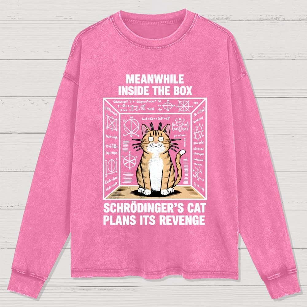 Schrodinger's Cat Escape Plan Washed Long Sleeve Tee