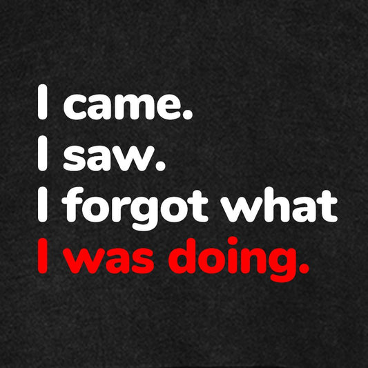 I Came. I Saw. I Forgot What I Was Doing Vintage Distressed Hoodie