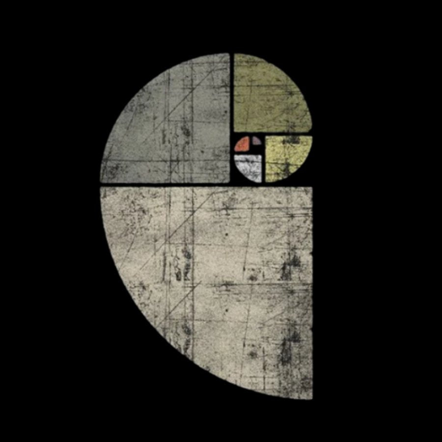 Distressed Fibonacci Spiral Geek Graphic T-Shirt