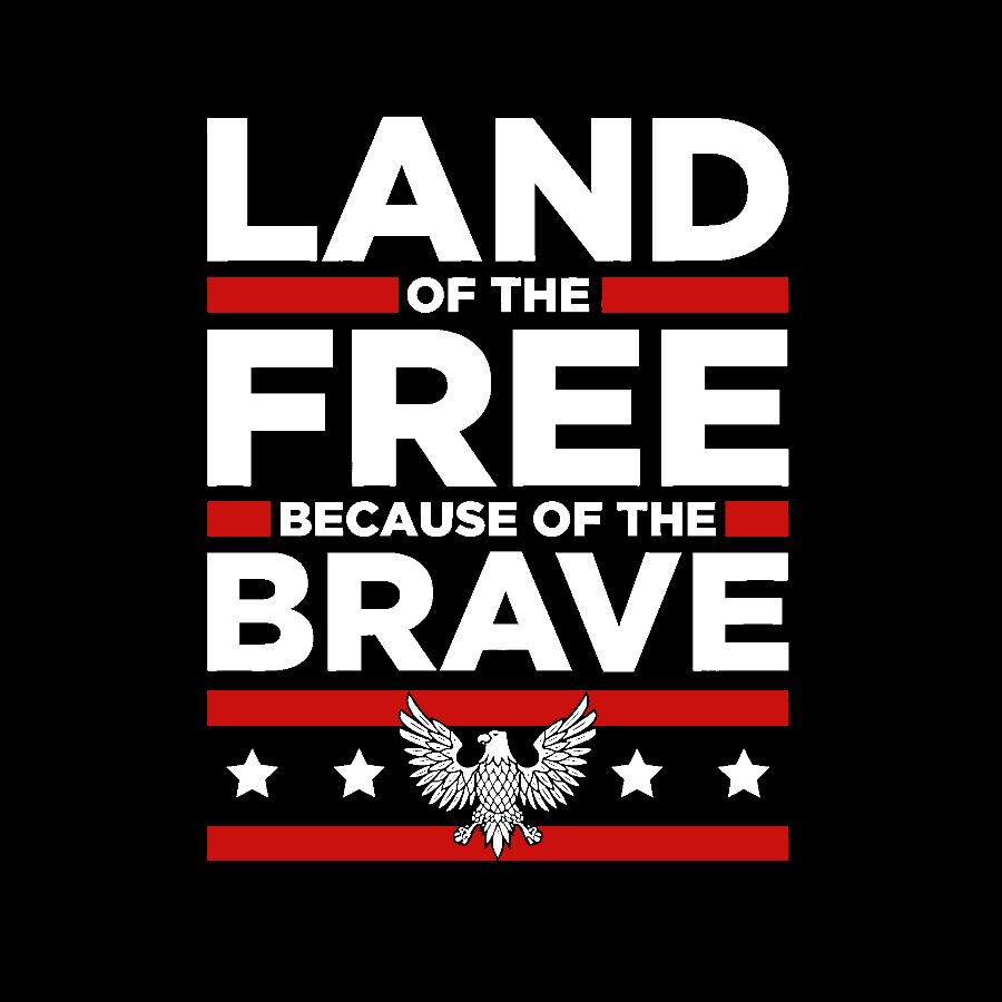 Because of the Brave Geek T-Shirt