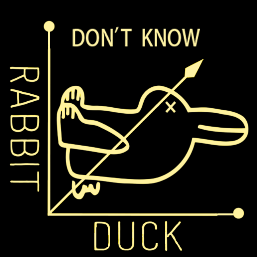 Rabbit or Duck - Don't know - Math Graph Geeky T-Shirt