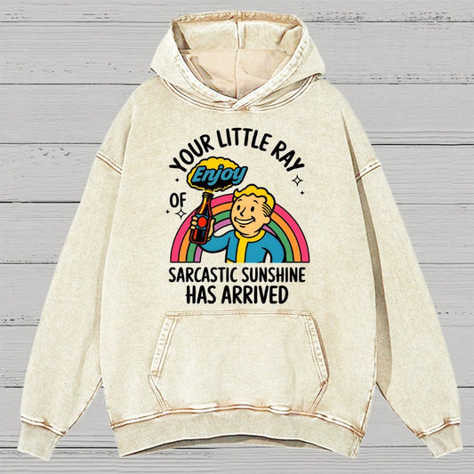 Your Little Ray Of Sarcastic Sunshine Has Arrived Vintage Distressed Hoodie