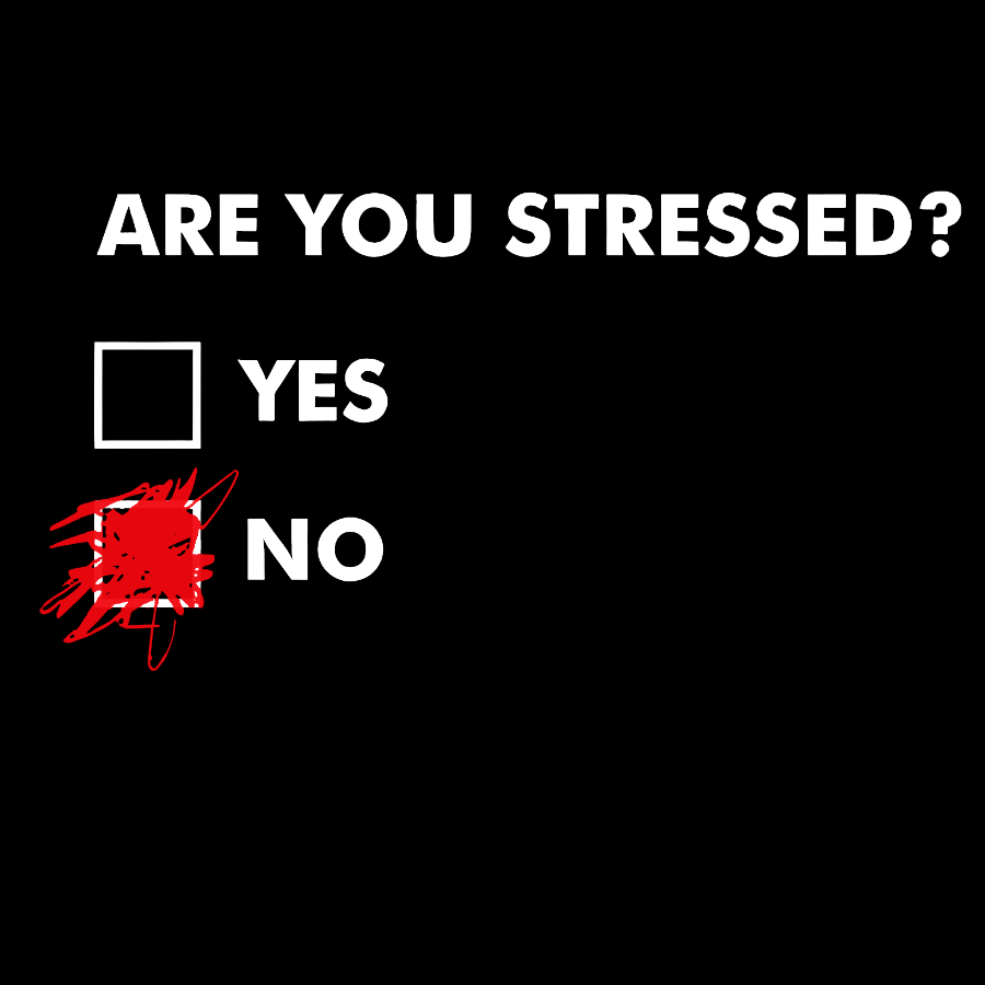 Fuuny Word Are You Stressed? No Geek T-Shirt