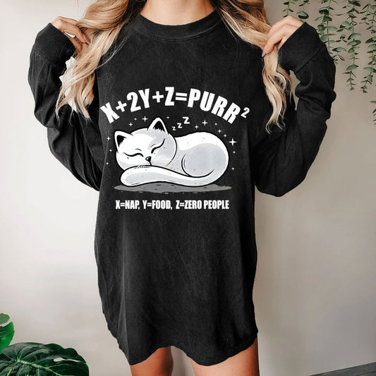 Purrfect Equation Washed Long Sleeve Tee