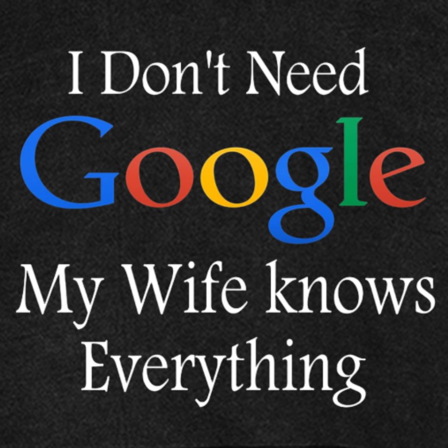 I Don't Need Google My Wife Knows Everything Funny Vintage Distressed Vintage Distressed Hoodie
