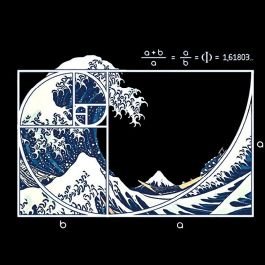 The Great Fibonacci Wave Science Geek Cotton Sweatshirt