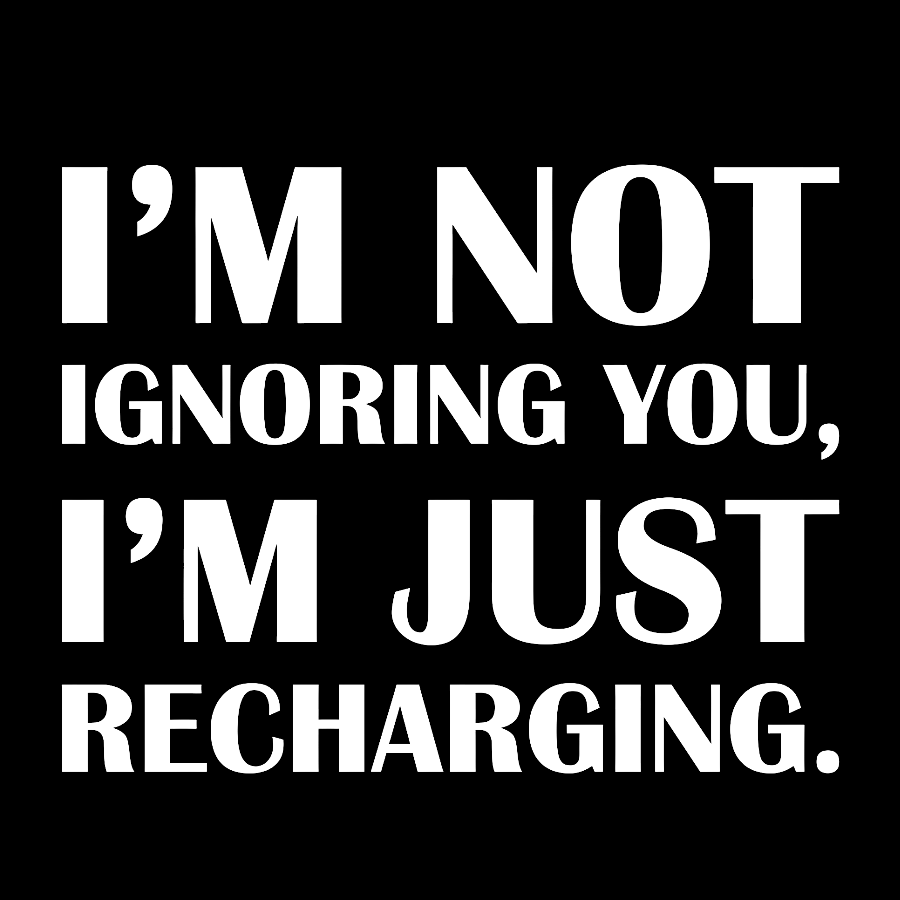 I’m Not Ignoring You, I’m Just Recharging Geek T-Shirt