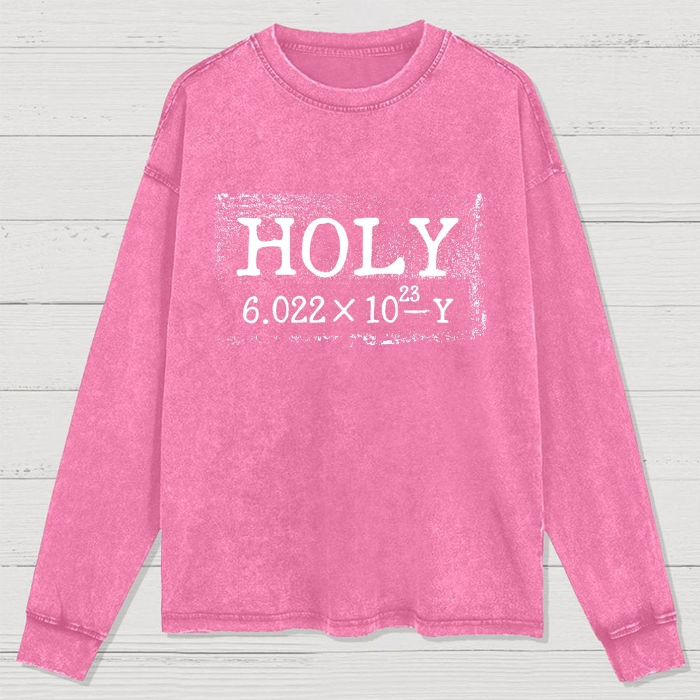 Holy Moley Avogadro Mole Funny Washed Long Sleeve Tee