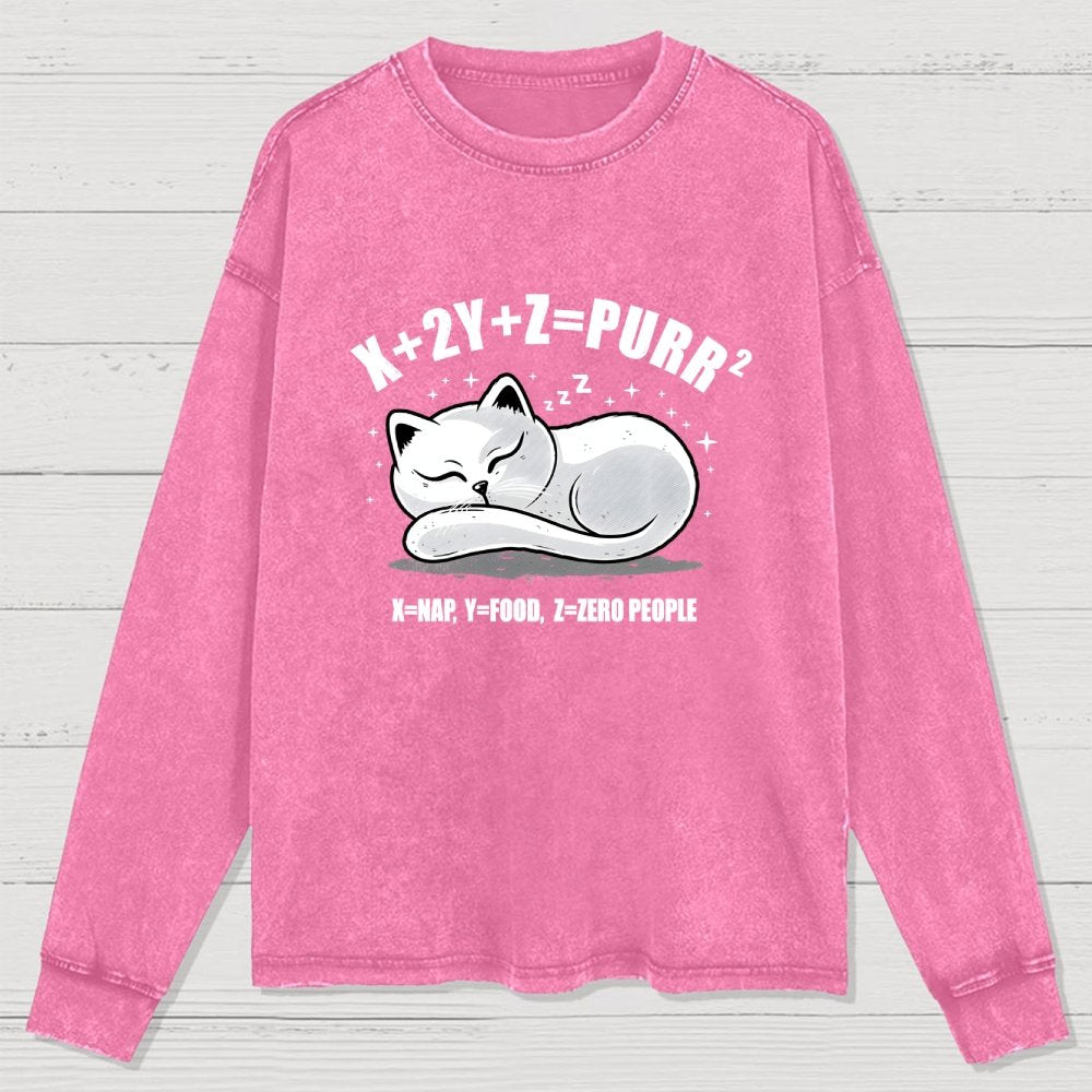 Purrfect Equation Washed Long Sleeve Tee