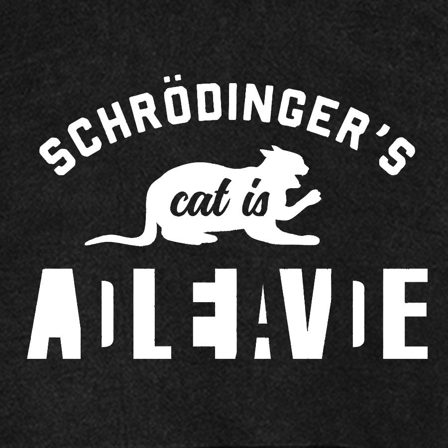 Schrodinger's Cat Vintage Distressed Hoodie