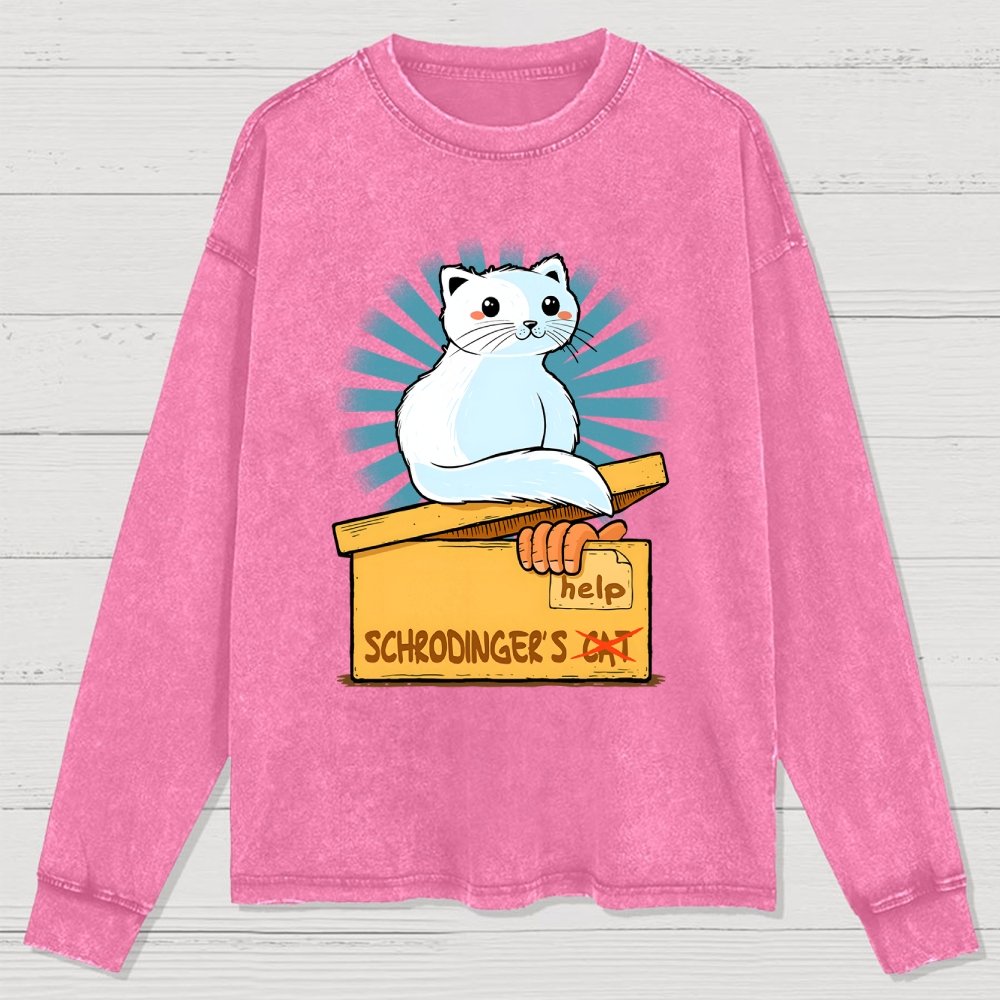 Schrodinger in a Box Washed Long Sleeve Tee