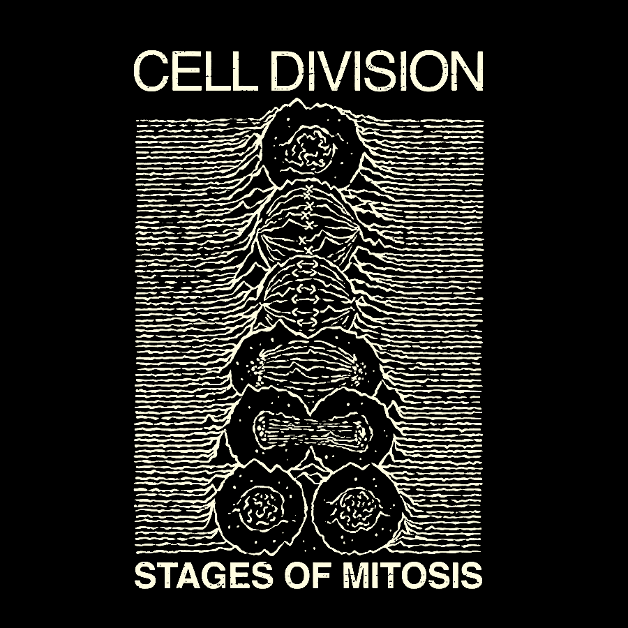 Cell Division- Stages Of Mitosis Geek T-Shirt