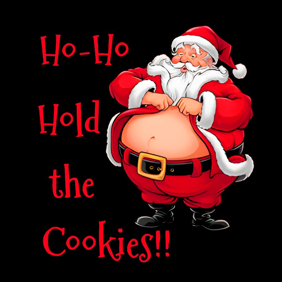Christmas Fat Santa Geek T-Shirt