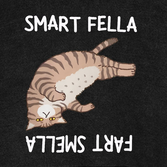 Smart Fella Fart Smella Funny Cat Pun Vintage Distressed Hoodie