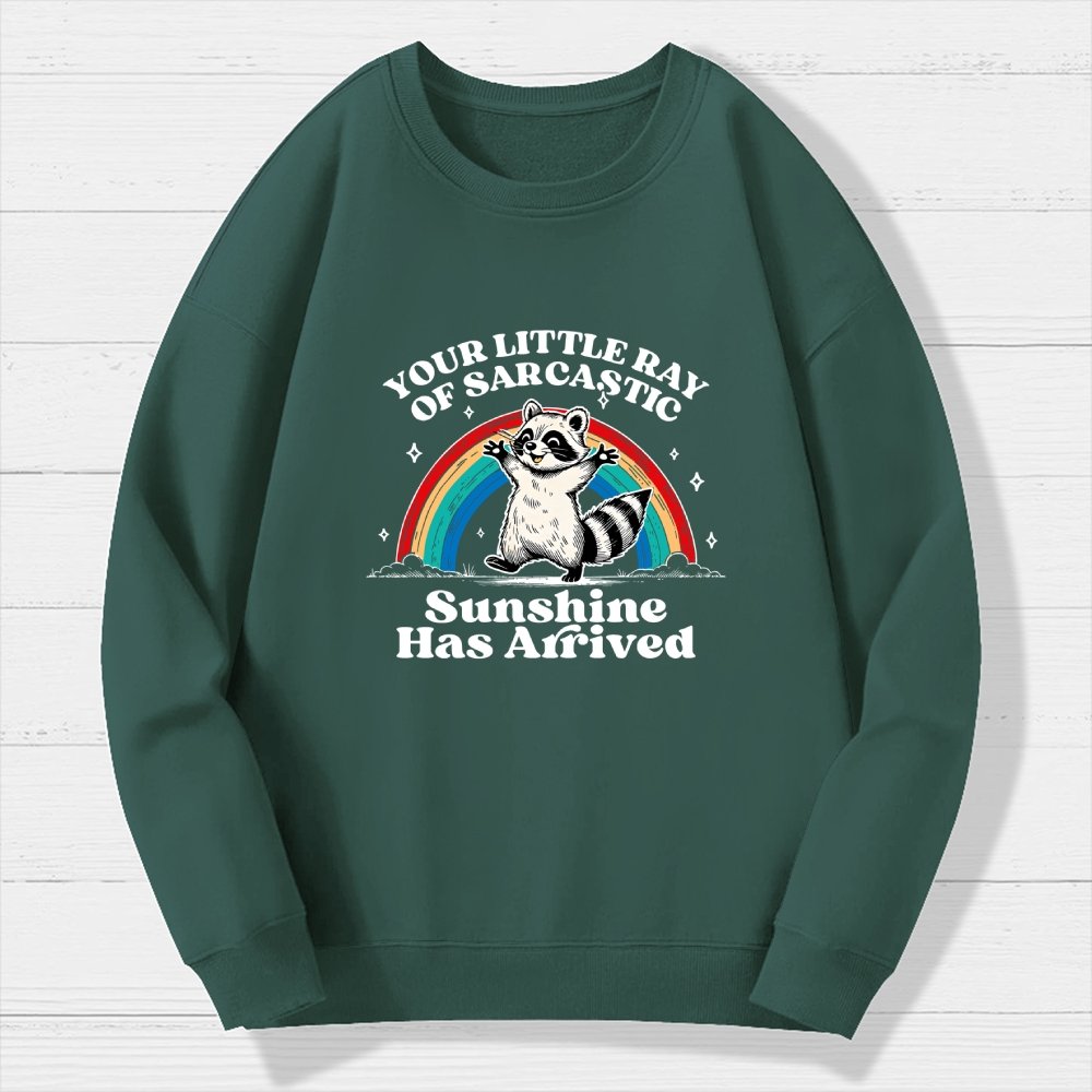 Your Little Ray of Sarcastic Sunshine Has Arrived Geek Cotton Sweatshirt