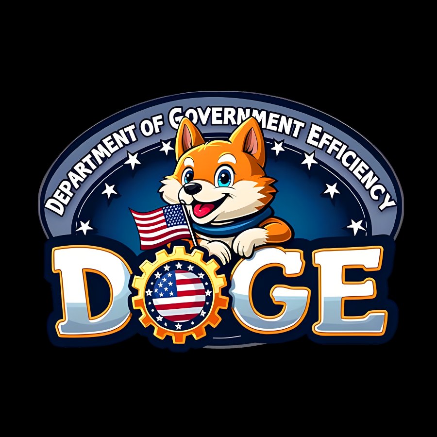 D.O.G.E-Department of Government Efficiency Geek T-Shirt