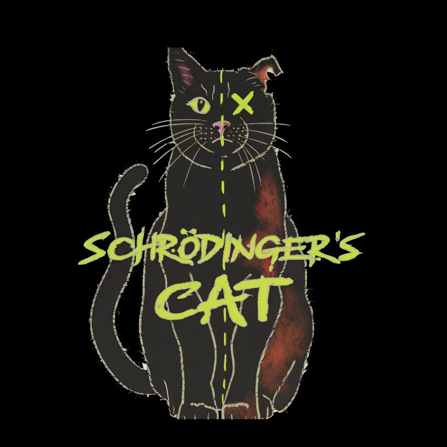 Schrödinger Cat Geeky T-Shirt