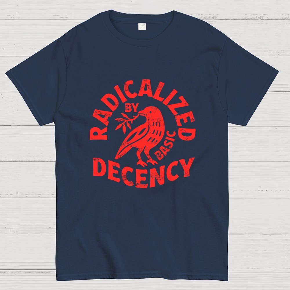 Radicalized By Basic Decency Geek T-Shirt