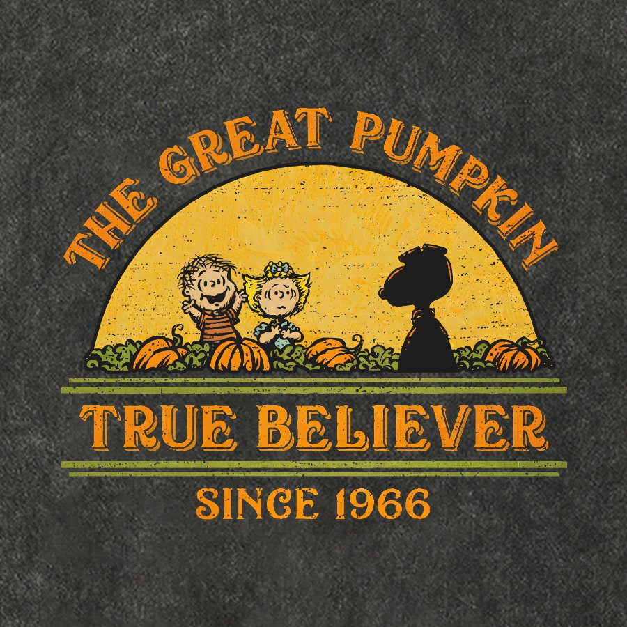 True Believer Since 1966 .Vintage Distressed T-shirt