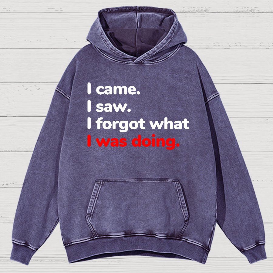 I Came. I Saw. I Forgot What I Was Doing Vintage Distressed Hoodie