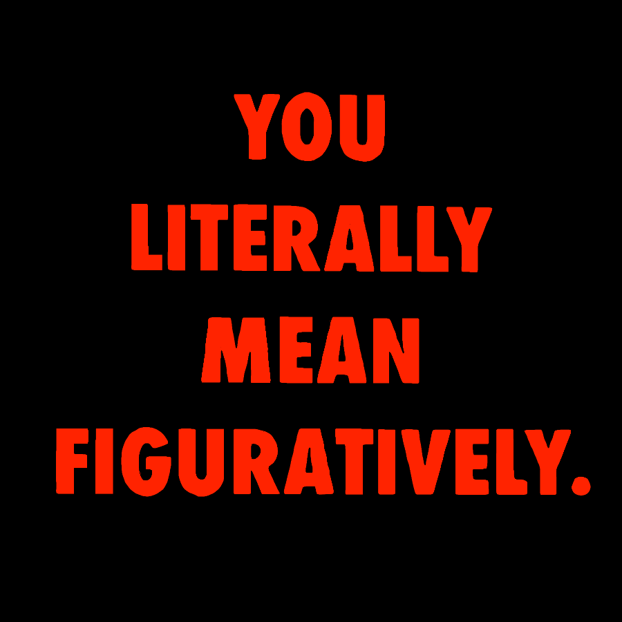 Grammar Police Literally vs. Figuratively Geek T-Shirt