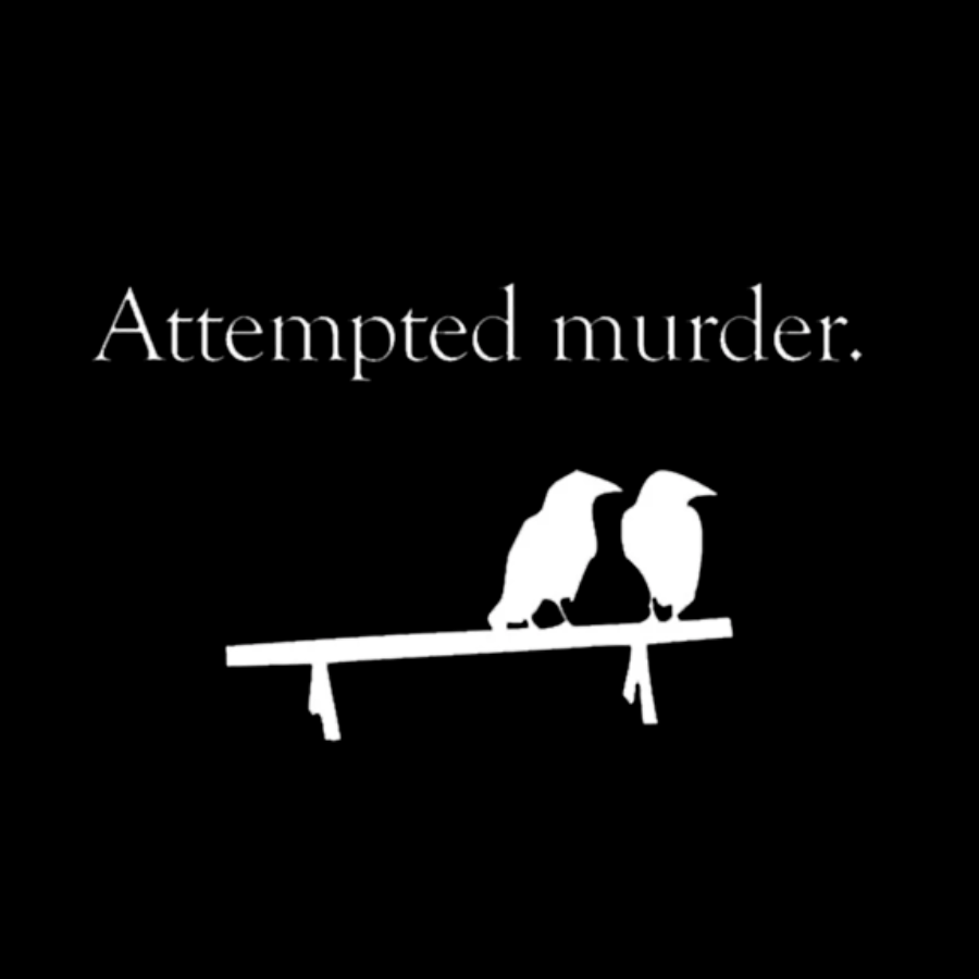 Attempted Murder Washed Long Sleeve Tee