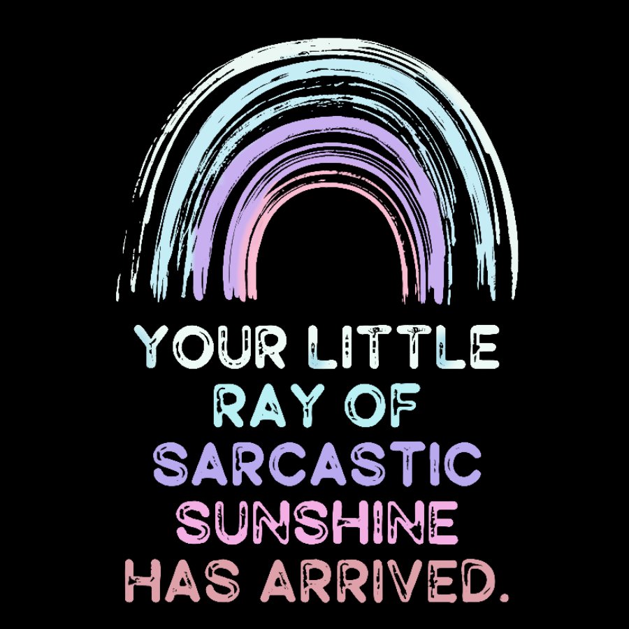 Your Little Ray of Sarcastic Sunshine Has Arrived Geek Cotton Hoodie