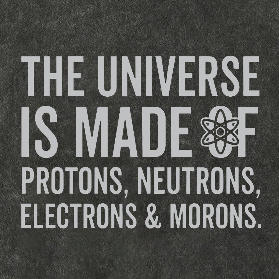 The Universe Is Made Of Morons Vintage Distressed T-shirt