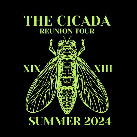 The Cicada Reunion U.S Tour 2024 Cicada Geeky T-Shirt