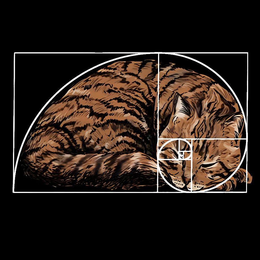 Fibonacci sequence Cat Geek T-Shirt