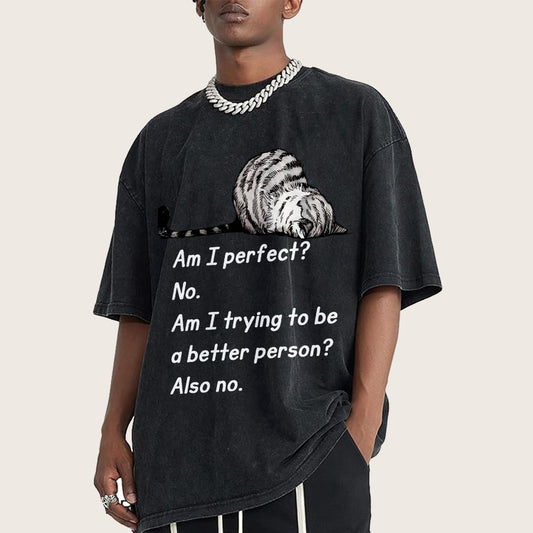 Am I Perfect No Vintage Distressed T-shirt